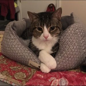 Meet your Posher, Ali