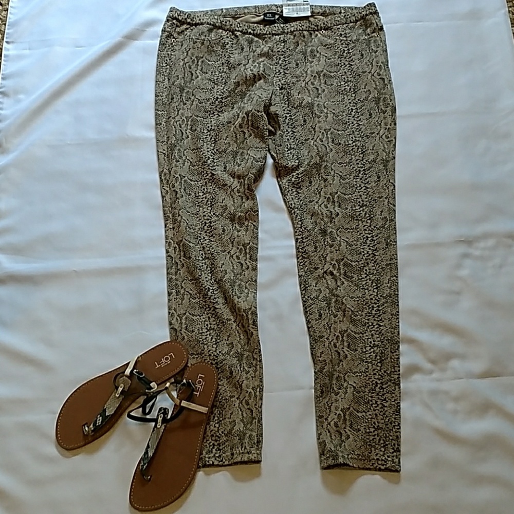 HUE leggings, snake skin pattern