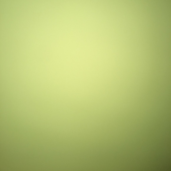 Meet your Posher, Kaelyn - Picture 1 of 1