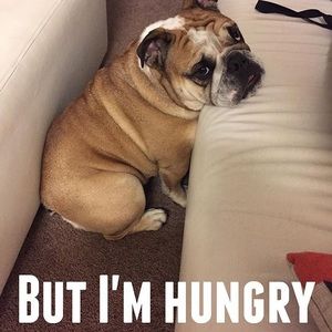 Meet your Posher, Ava