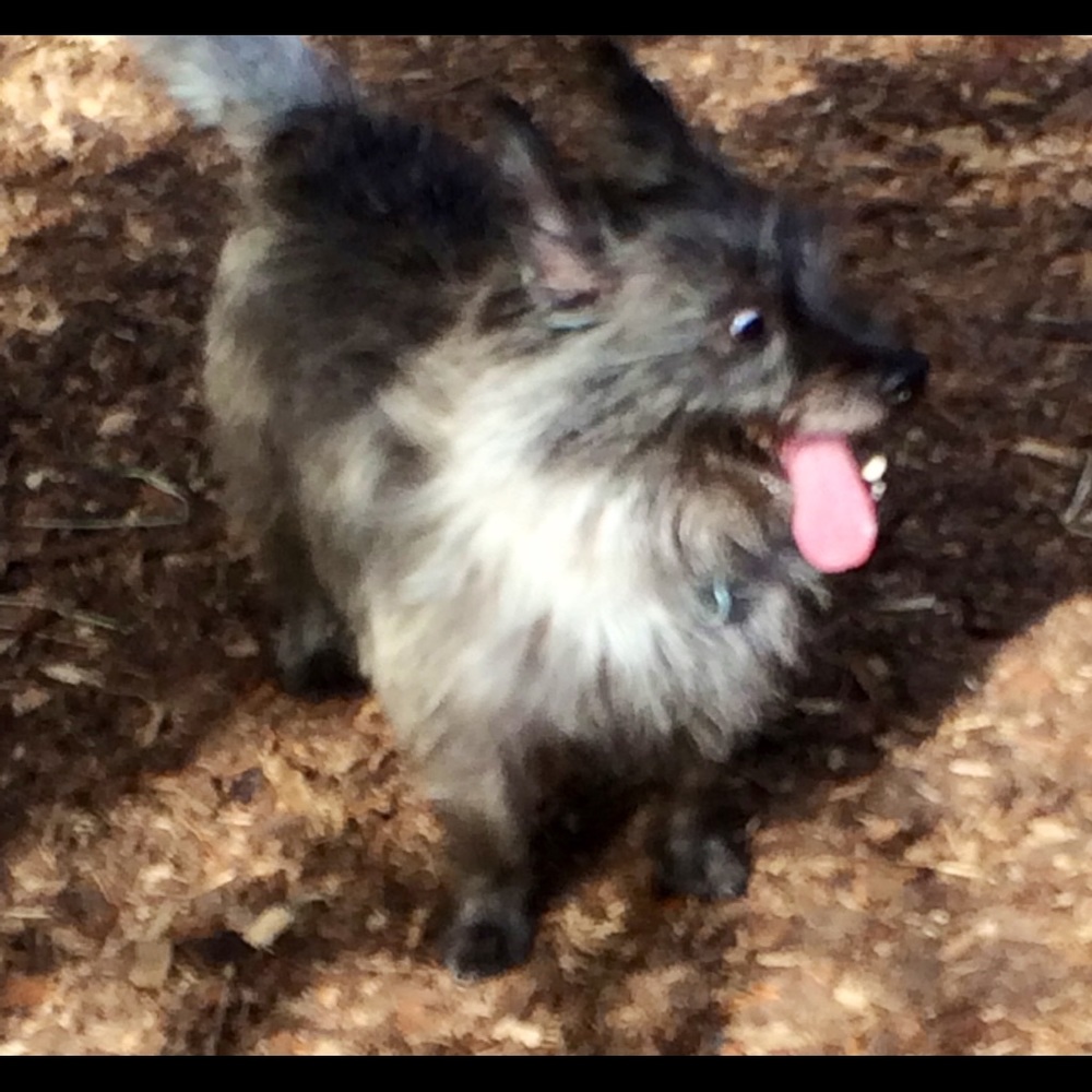 Meet your Posher, Damian