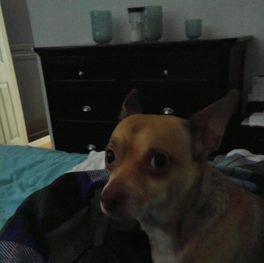Meet your Posher, Michelle