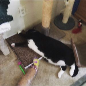 Meet your Posher, Barbara