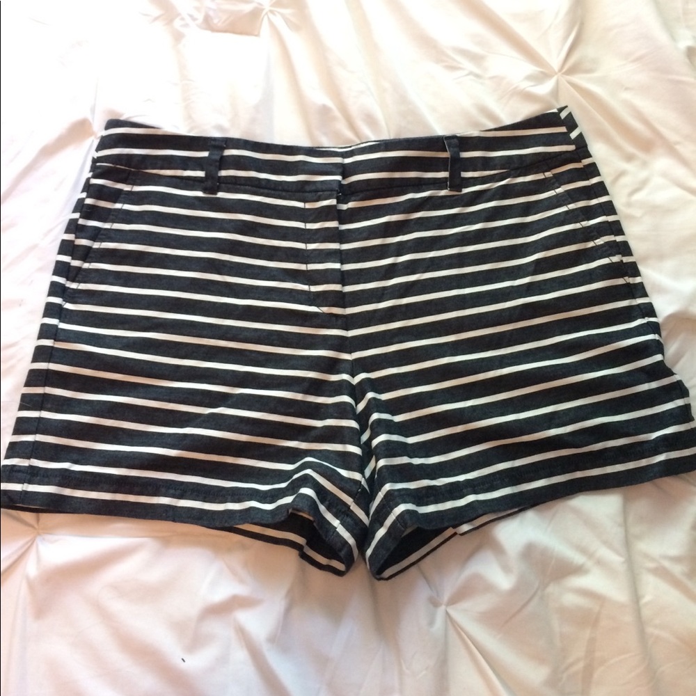 Ann Taylor Loft Shorts