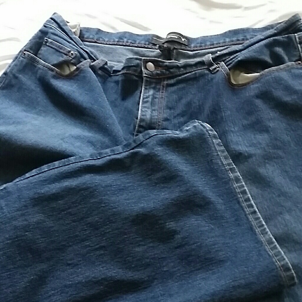 Lane bryant Venezia size 22 jeans