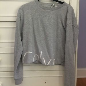 Gray Calvin