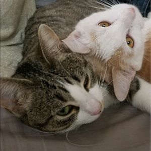 Meet your Posher, Isabella