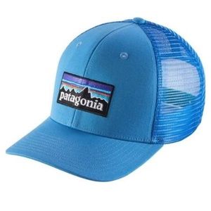 Patagonia P-6 Logo Trucker Hat Radar Blue