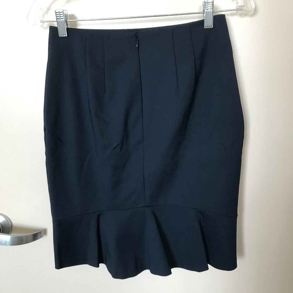 Ann Taylor Skirt (with pendulum)