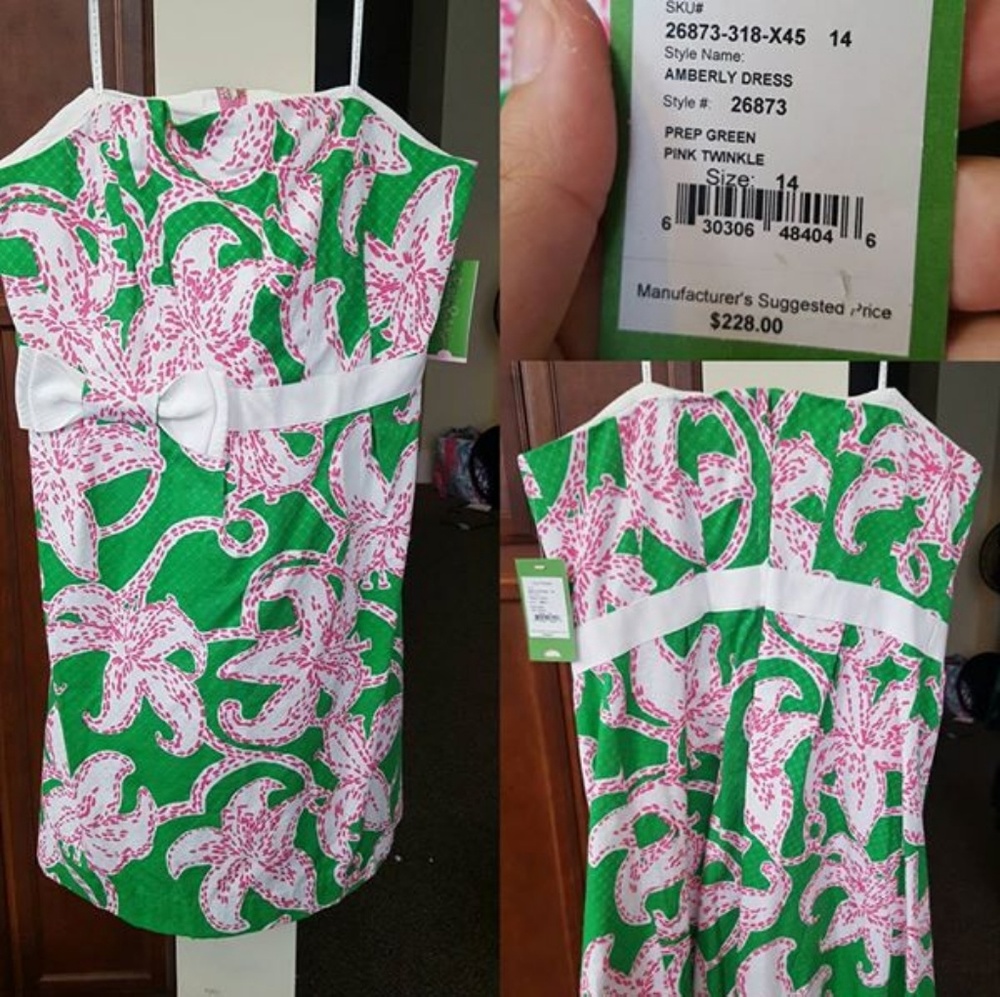 NWT Lilly Pulitzer Amberly Dress