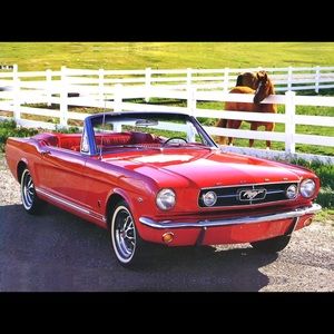 Meet your Posher, Liam