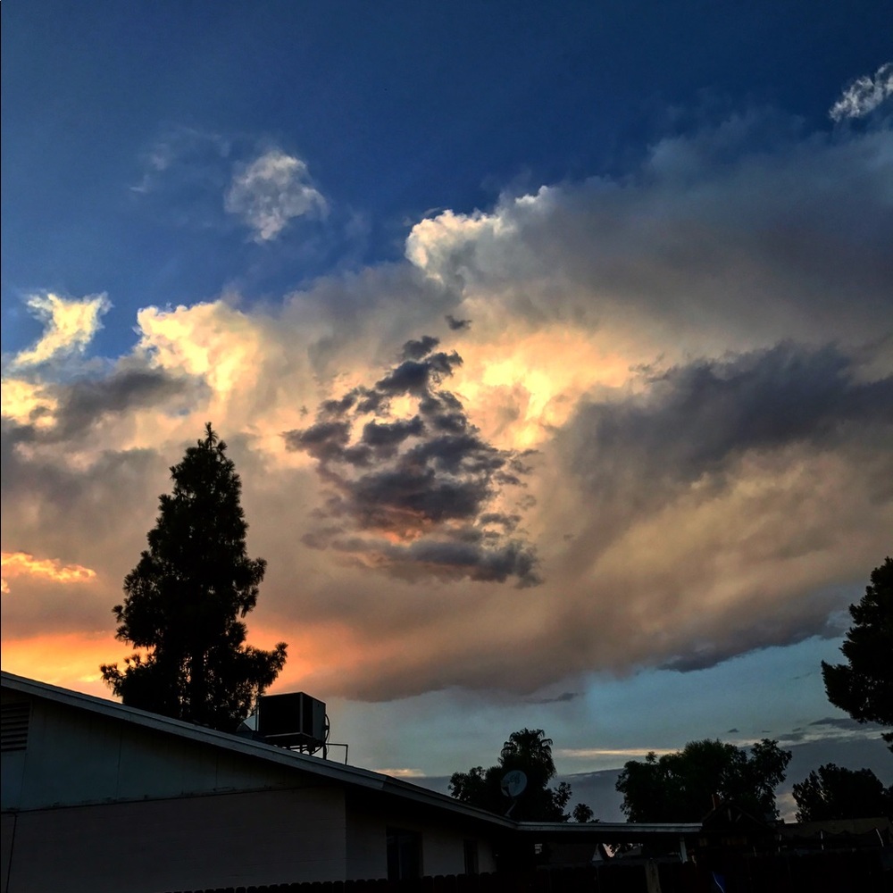 Meet your Posher, Ernesto