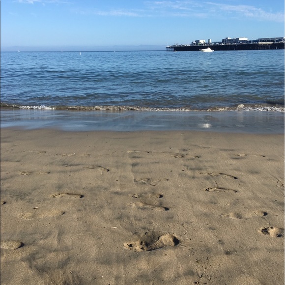 Meet your Posher, Ell - Picture 1 of 1