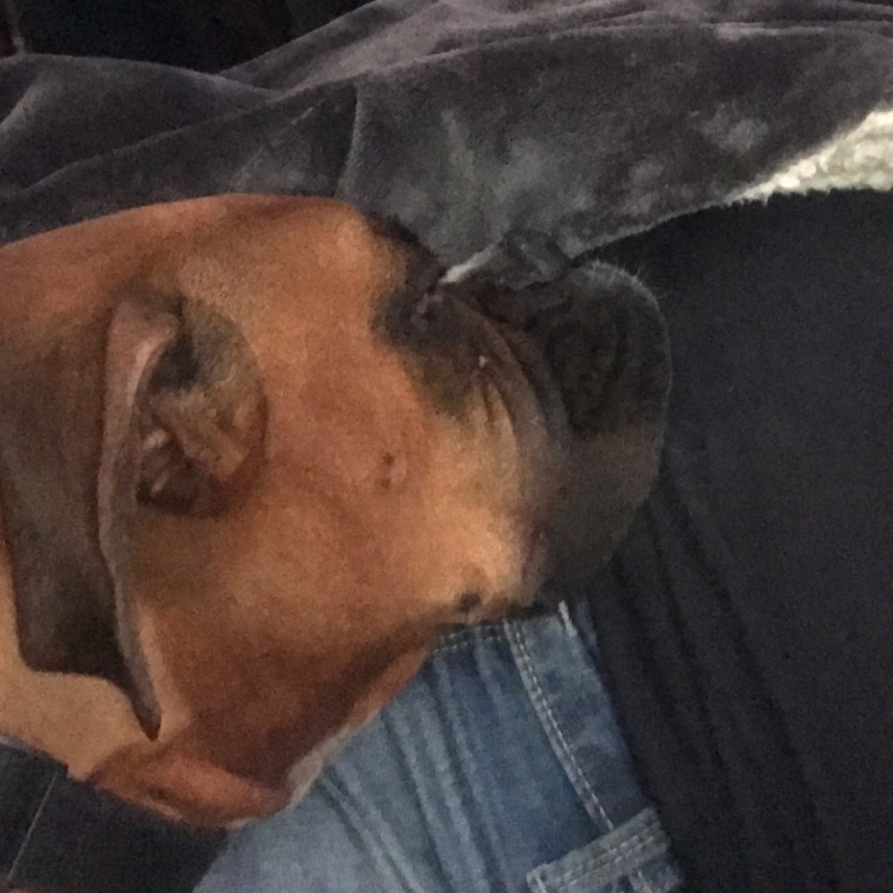 Meet your Posher, Matthew