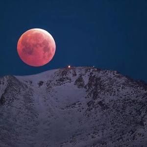 Meet your Posher, Laurabeth