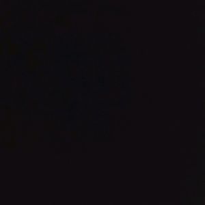 Meet your Posher, Sammy