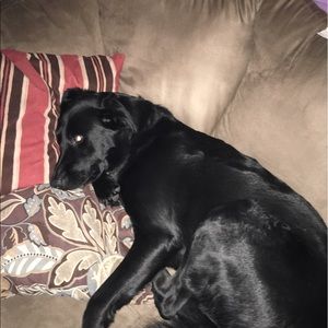 Meet your Posher, Debra