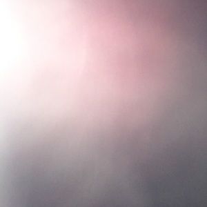 Meet your Posher, Shanell