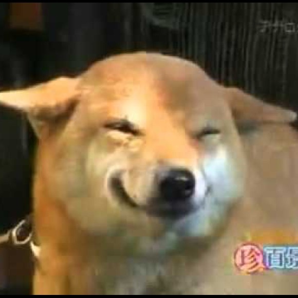 Meet your Posher, Cierrah - Picture 5 of 7