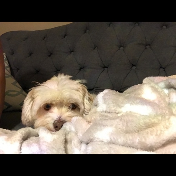 Posh Ambassador, Sufiya - Picture 8 of 8