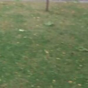 Meet your Posher, Jefferson