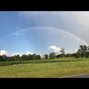 Meet your Posher, Barbara