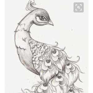 Meet your Posher, Annabelle