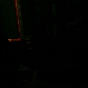 Meet your Posher, Noah