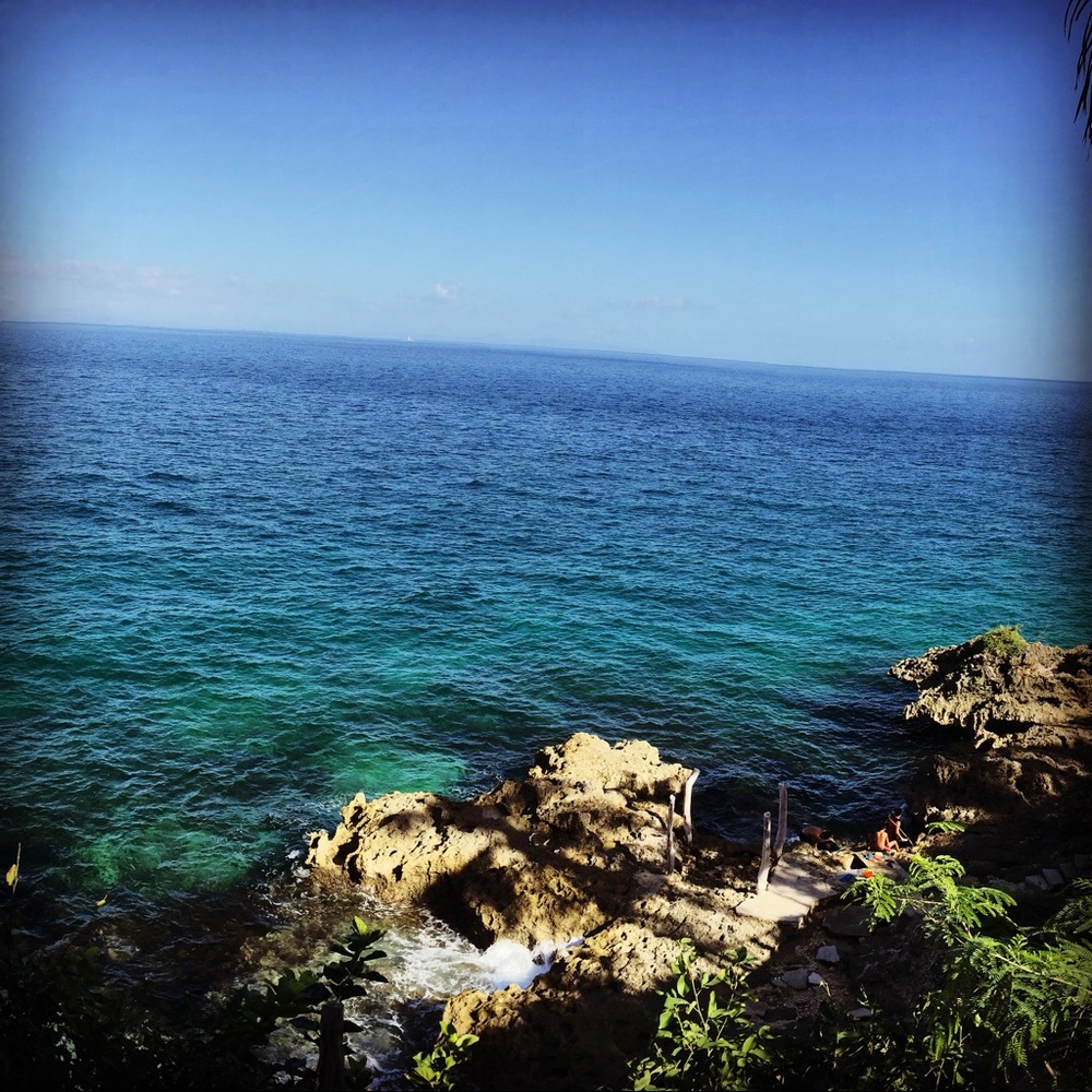 Meet your Posher, Iris