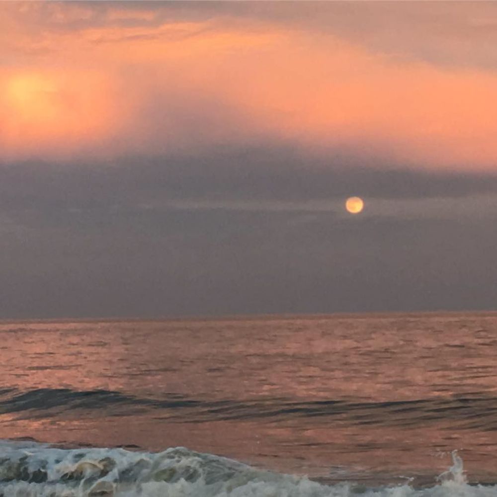 Meet your Posher, Techi