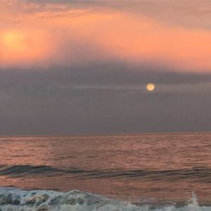 Meet your Posher, Techi