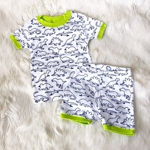 ⭐️ Dinosaurs Snug Fit Pajama