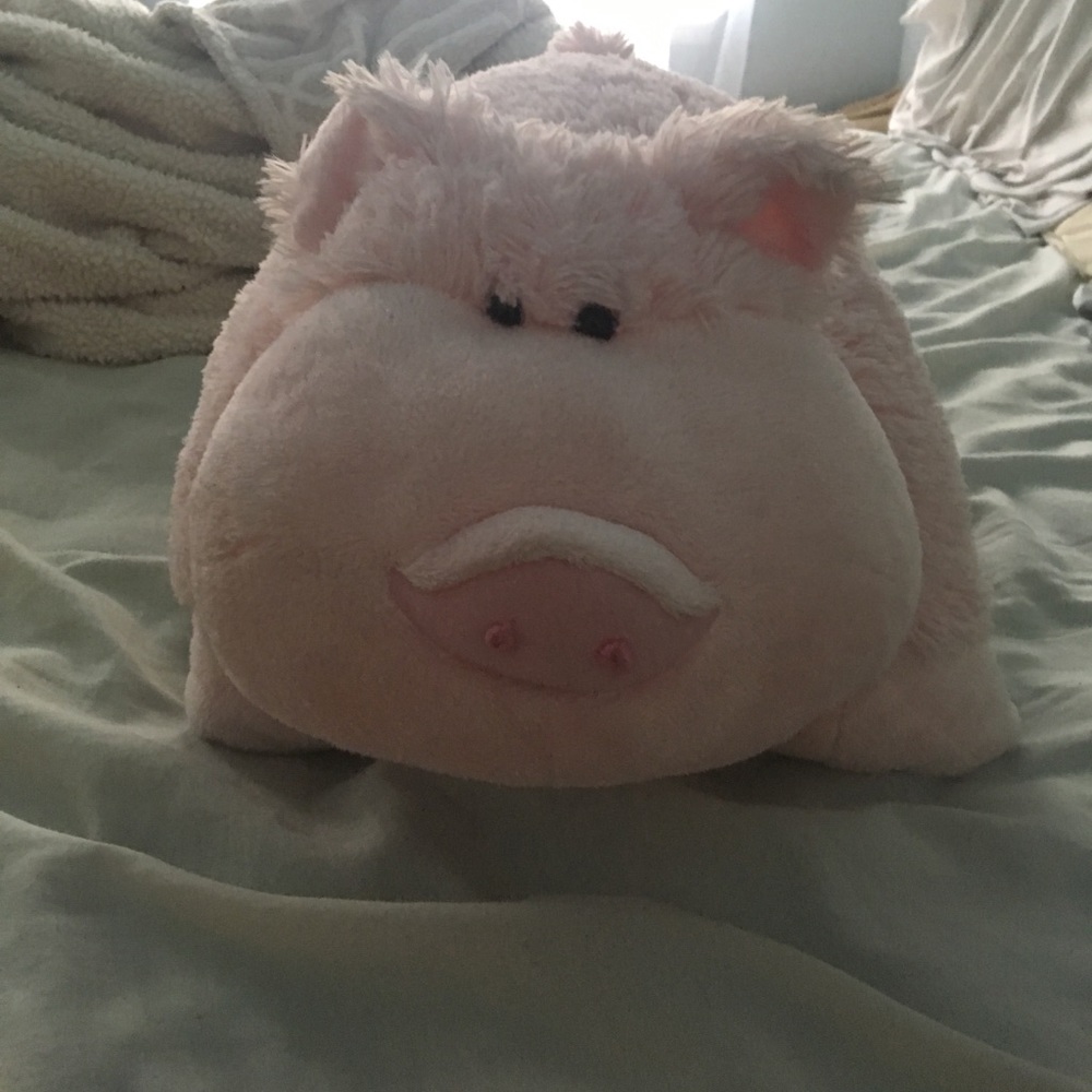 Pillow pet
