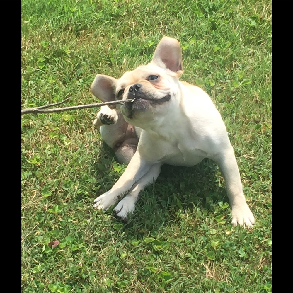 Meet your Posher, Maggie