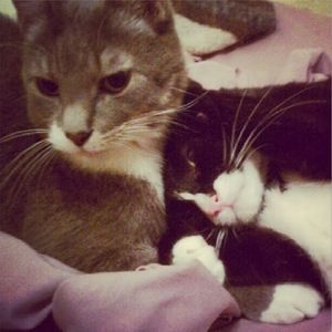 Meet your Posher, Laura