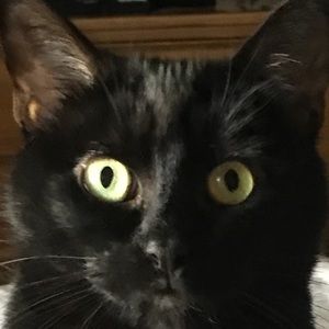 Meet your Posher, Christine