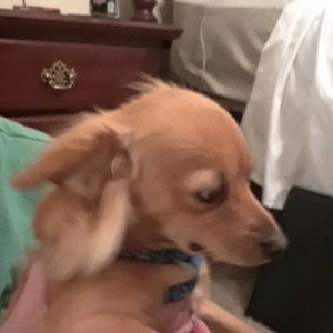 Meet your Posher, Deb