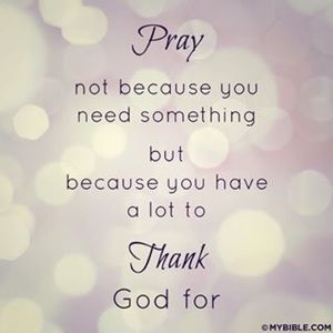 Meet your Posher, Tanya