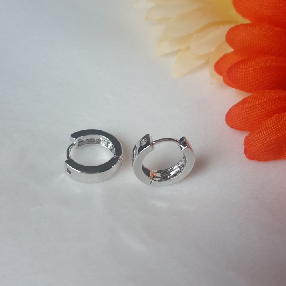 Small Hoop Earrings
