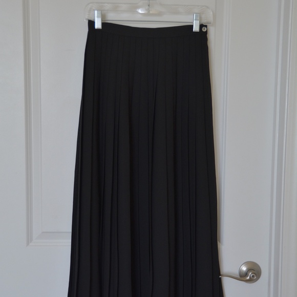 Marisa Christina Dresses & Skirts - Vintage Pleated Petite Maxi Skirt