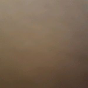 Meet your Posher, Whitney