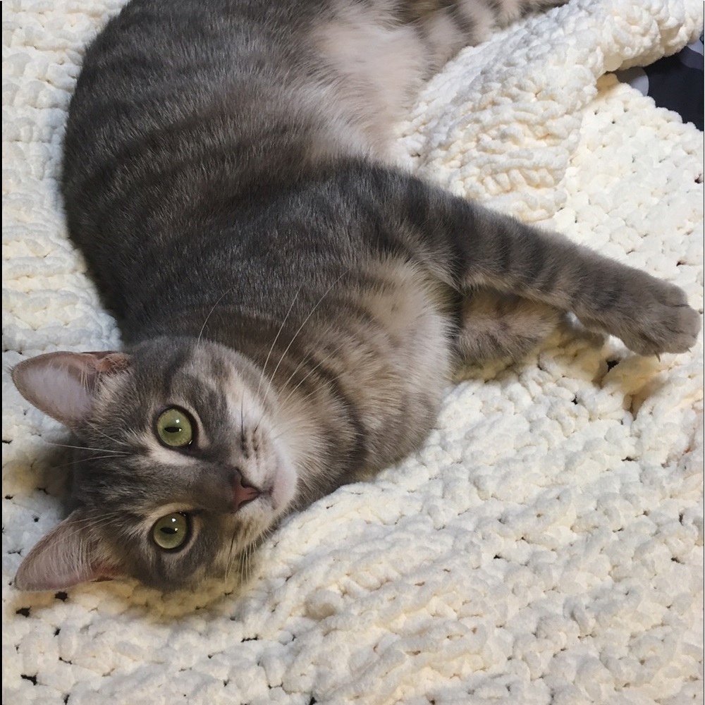 Meet your Posher, Kylie