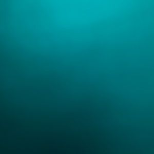 Meet your Posher, Kamryn