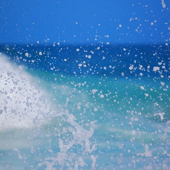 Meet your Posher, Carol - Picture 1 of 1