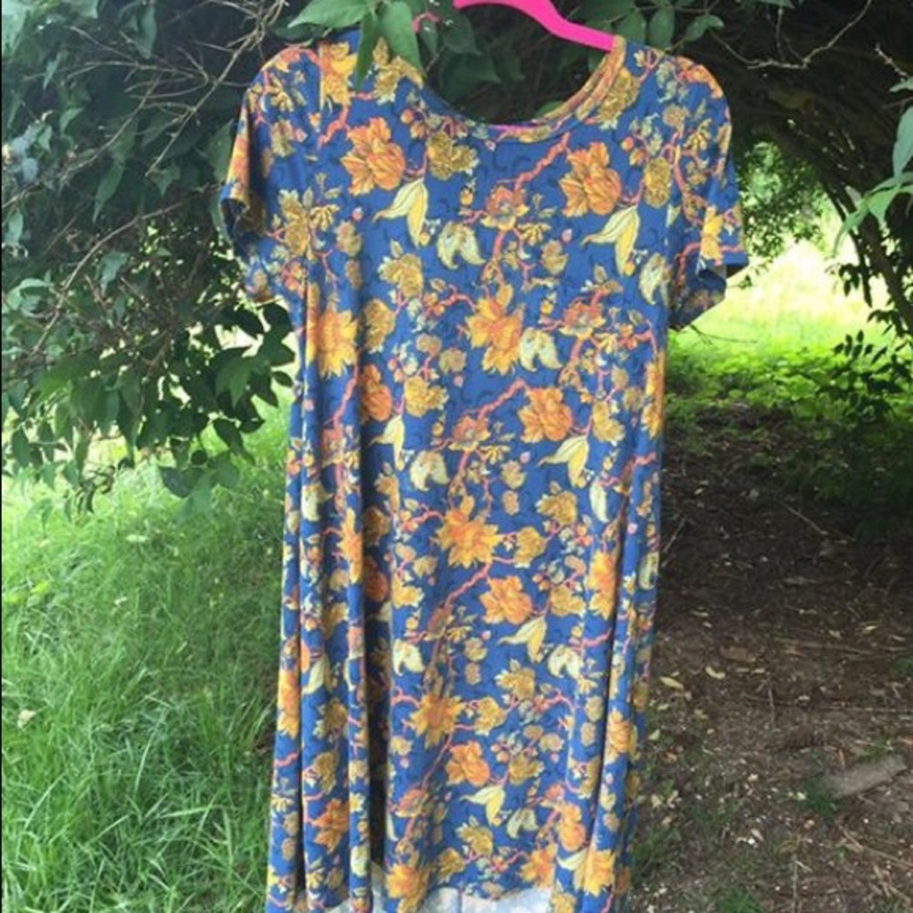 LulaRoe Carly Dress