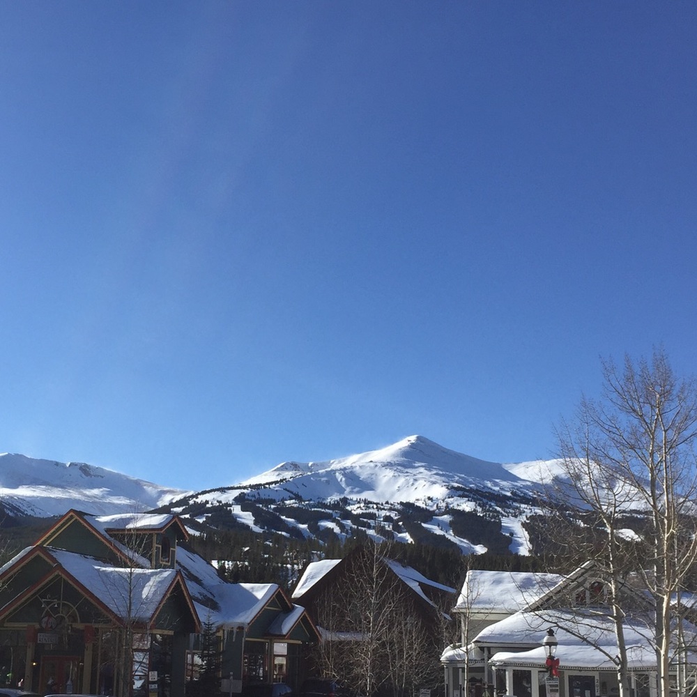 Meet your Posher, Bridgette