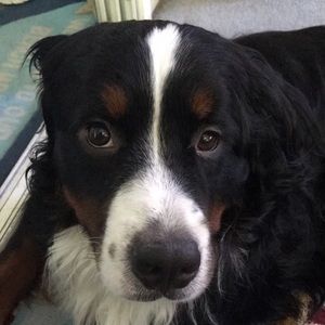 Meet your Posher, Jeff