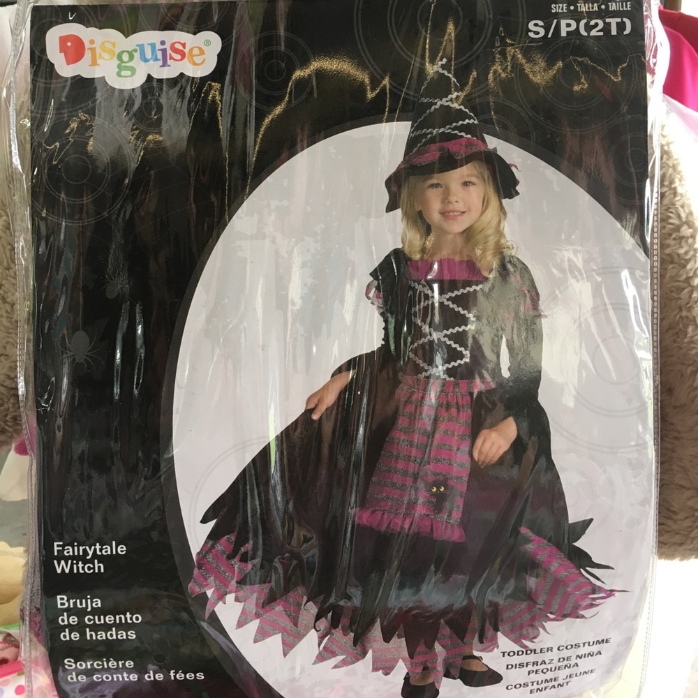 Fairytale Witch Halloween Costume