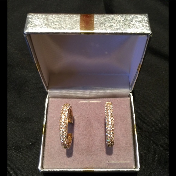 Sparkly Hoop Earrings - Picture 1 of 3