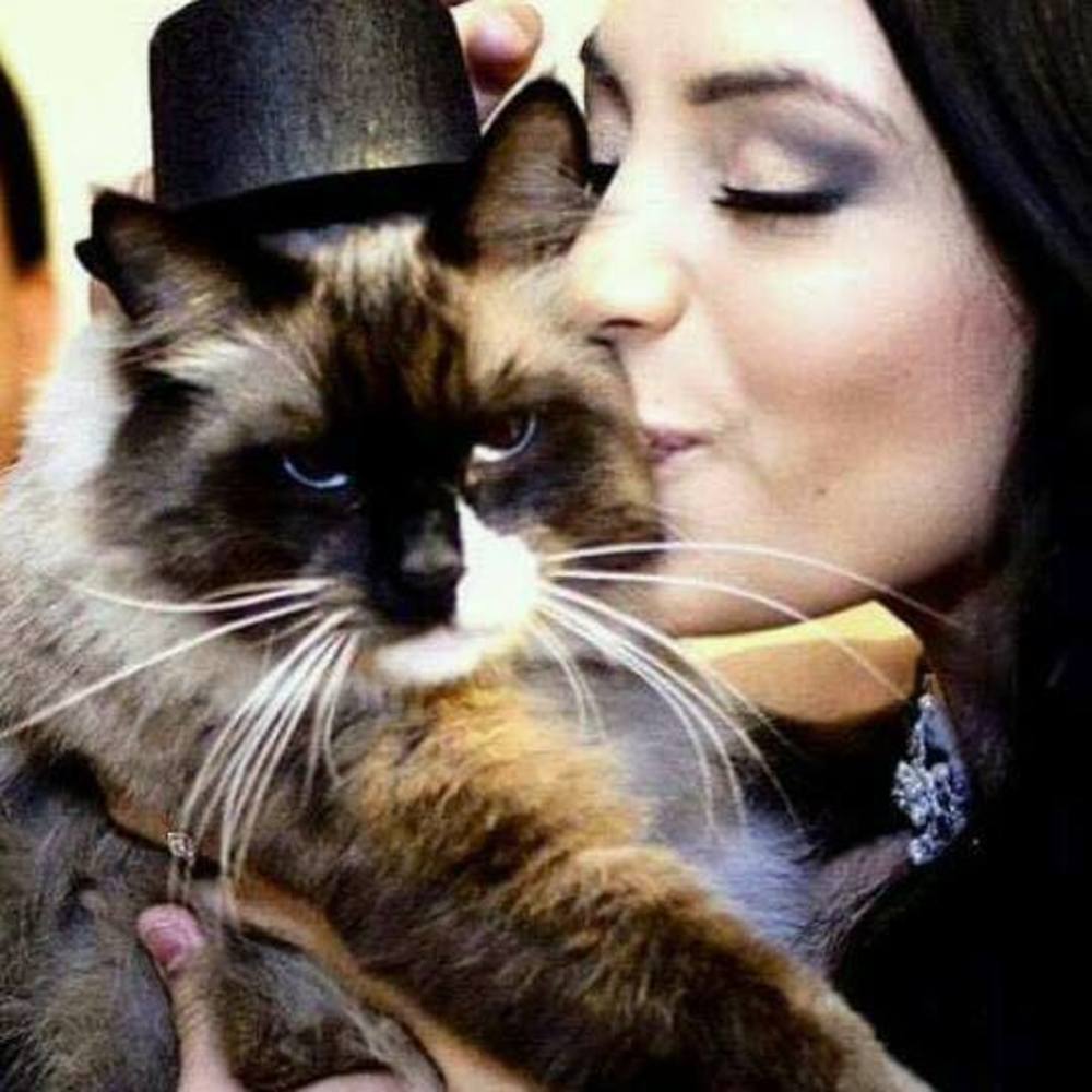 Meet your Posher, Miriam